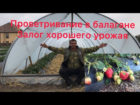 Видео: ТАКИХ ДВЕРЕЙ ВЫ ЕЩЁ НЕ ВИДЕЛИ.ДВЕРИ ДЛЯ БАЛАГАНА (туннель, парник).