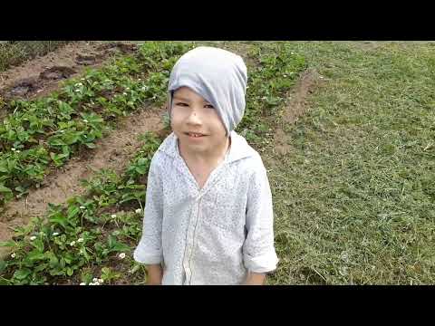 Видео: 17,18. 05. 25г. Высадили рассаду. Огород. Дом из газоблока. Рудный. 