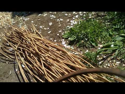 Видео: Как очистить обмотку трансформатора.