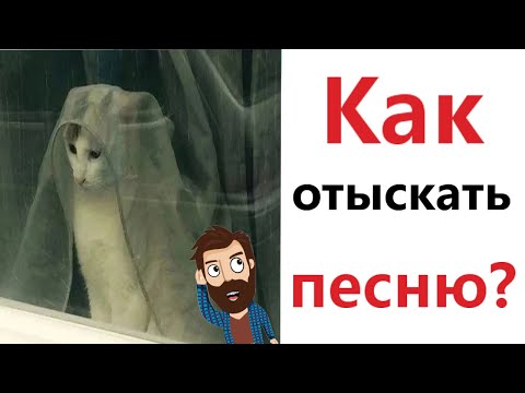 Видео: МЕМЫ! КАК ОТЫСКАТЬ ПЕСНЮ НЕ ЗНАЯ СЛОВ! Смешные видео от Доми шоу!