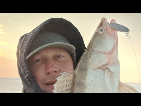 Видео: Рыбалка на Капчагае, 2 марта 2024г. 4 км. от берега, Судак.