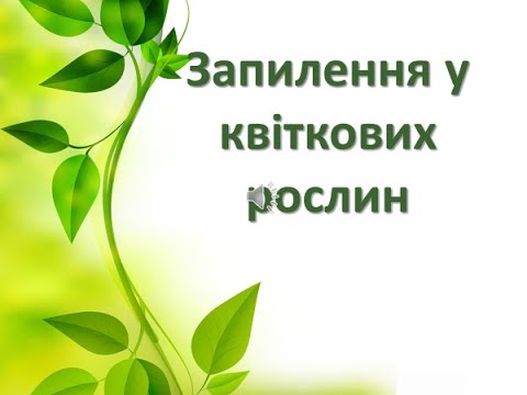 Видео: Запилення у квіткових рослин