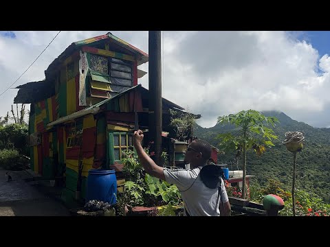 Видео: Экскурсия по природному острову Доминика 🇩🇲 (пресноводное озеро, Трафальгарский водопад, только х...