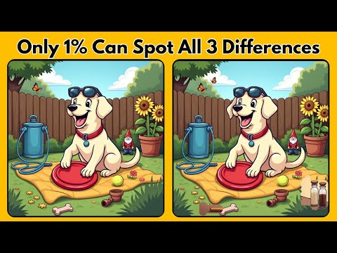 Видео: Только 1% может найти все 3 отличия на изображениях собак