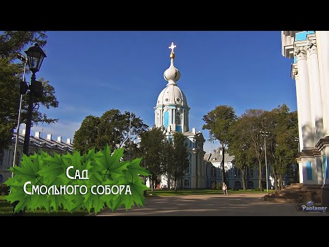 Видео: Сад Смольного собора (2025)