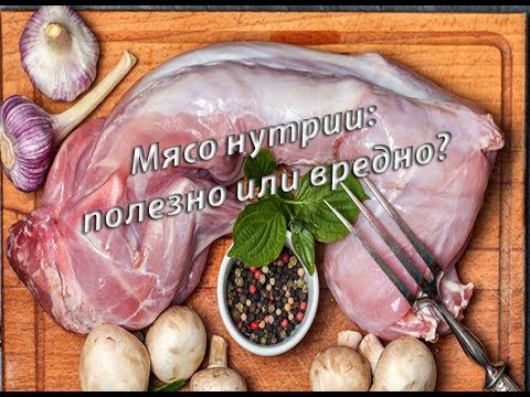 Видео: МЯСО НУТРИИ. Полезно или вредно?