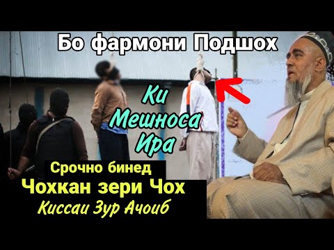 Видео: Бо Фармони Подшох ба дор Кашидан Ира Чохкан Зери Чох шуд  Домуло Абдурахим