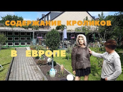 Видео: Общество кролиководов в Германии/Заводчики в Личных Хозяйствах/Меховые изделия из Кроликов