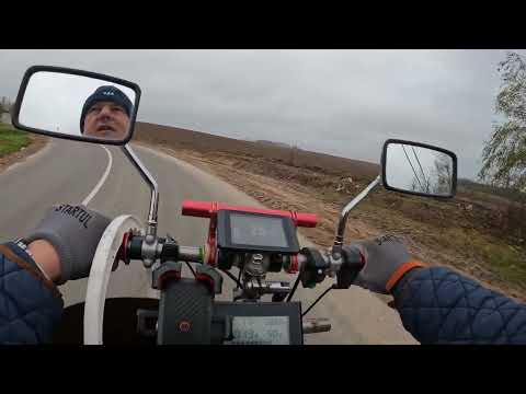 Видео: Грибы в Беларуси 2.11.2025