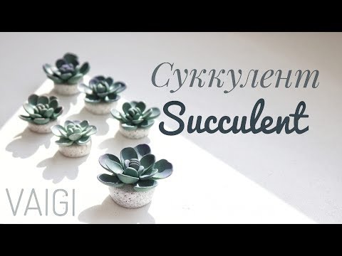 Видео: Суккулент из полимерной глины // Succulent // VAIGI. Polymer clay tutorials
