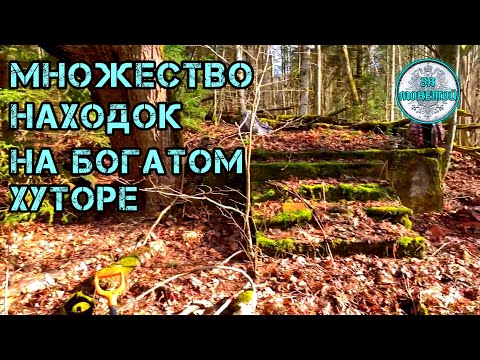 Видео: Коп на Богатых Хуторах в Старом Лесу! #Minelab #Equinox 600, X-Terra 705.