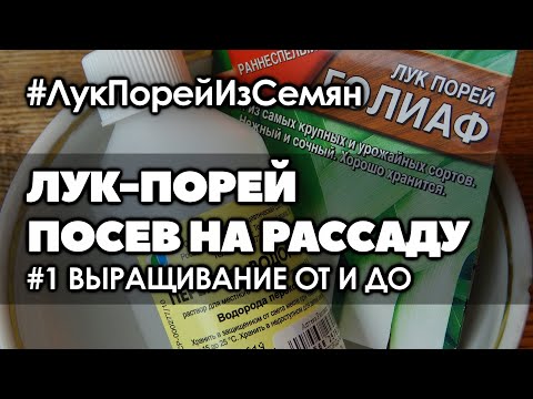 Видео: #1 Посев семян лука-порея на рассаду | Лук-порей. Выращивание от и до.