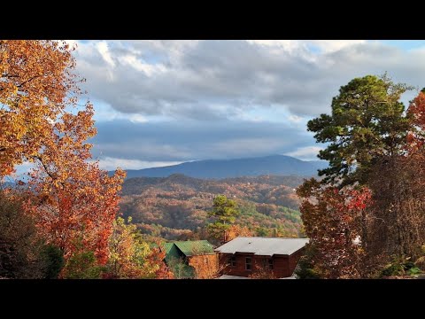Видео: Необыкновенная Красота Природы - Волшебный Лес, Тишина и Релакс - просто дух захватывает от этого 🥰