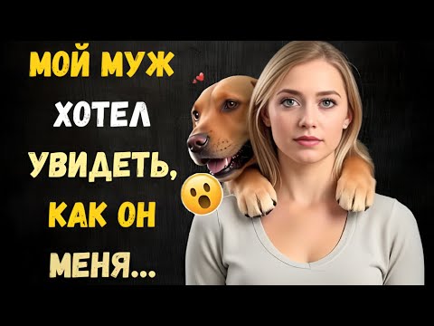 Видео: Когда Зазвонил Телефон, Всё Уже Было Поздно