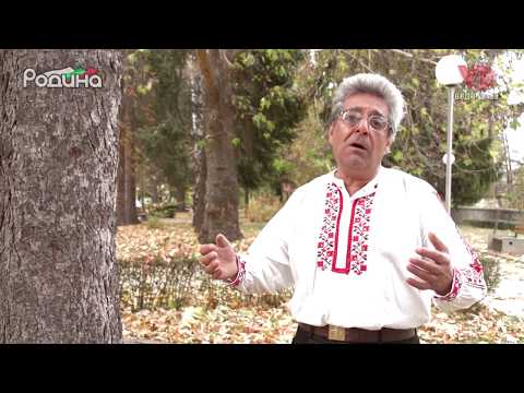 Видео: "Сватба" - Георги Вардев/"Svatba" - Georgi Vardev