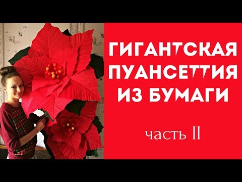 Видео: РОСТОВАЯ ПУАНСЕТТИЯ из гофрированной бумаги. Часть 2