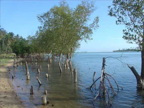 Видео: Боря Чистый - Набережная Лимпопо