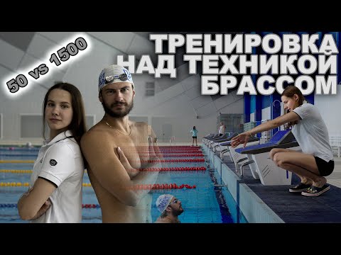 Видео: ИСПРАВЛЯЕМ ТЕХНИКУ ПЛАВАНИЯ БРАССОМ В ПРЯМОМ ЭФИРЕ