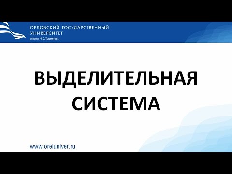 Видео: Выделительная система