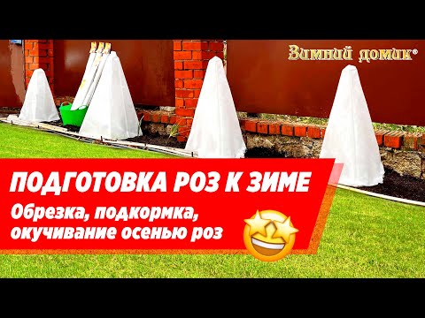 Видео: Укрытие роз на зиму 🌹 Подготовка, обрезка, подкормка осенью роз.