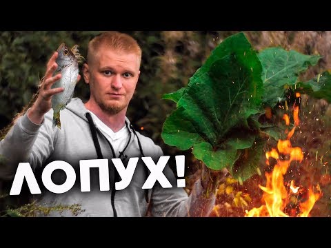 Видео: ДОРАДА В ЛОПУХАХ