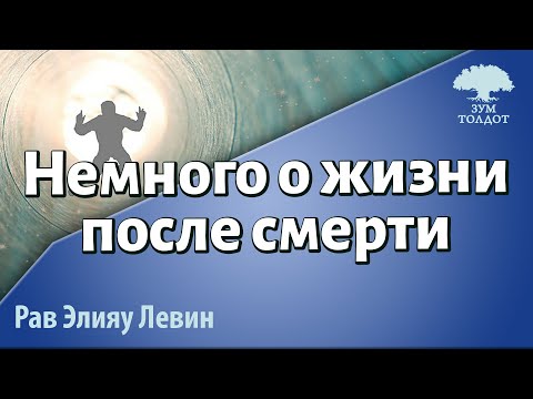 Видео: Немного о жизни после смерти. Рав Элияу Левин