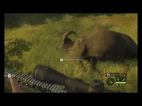 Видео: Hunter Call of the Wild  немного поохотились ч 14