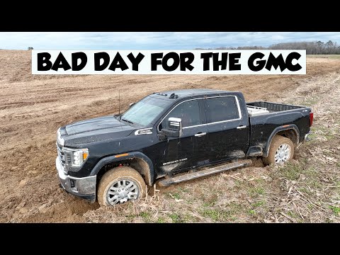 Видео: УДИВИТЕЛЬНЫЙ ДЕНЬ ФЕРМЕРСТВА В АЛАБАМЕ