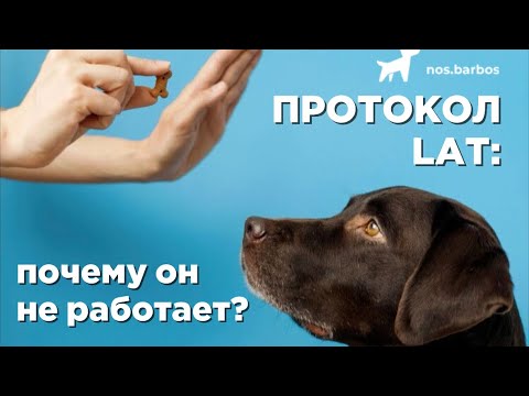 Видео: Протокол LAT: почему не работает? Что делать, если собака лает на всех собак
