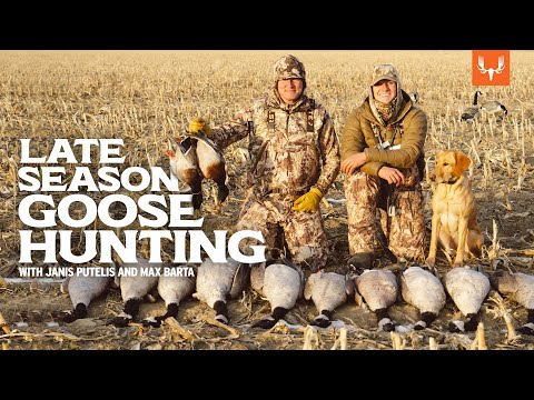 Видео: Охота на гусей в конце сезона с Янисом Путелисом