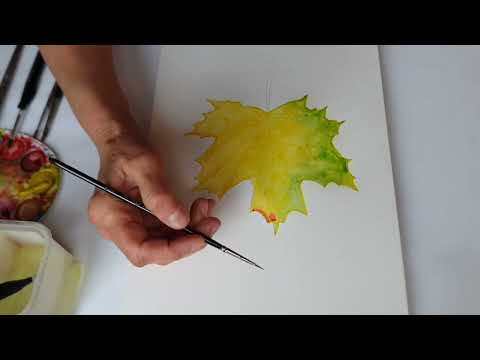 Видео: Рисуй со мной Акварель Кленовый лист #рисуйсомной #акварельныйрисунок #настроение 
