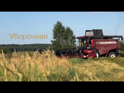 Видео: Уборочная овса / ПАЛЕССЕ GS12A1 PRO, МАЗ 5516  и др. /