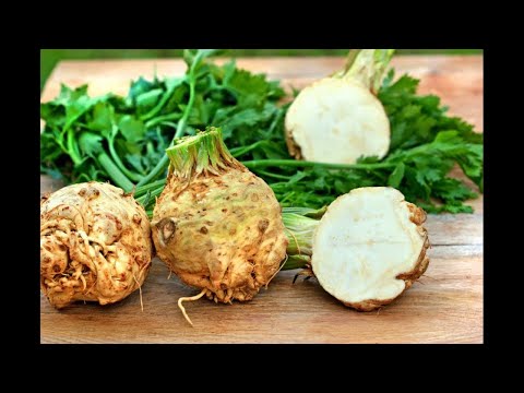 Видео: Сельдерей корневой.Подготовка сельдерея к хранению.Хранение корневого сельдерея.Самый удачный способ