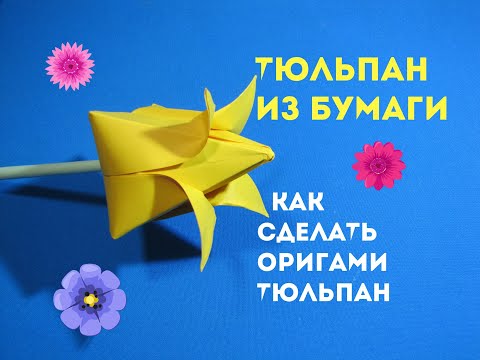 Видео: Тюльпан из бумаги