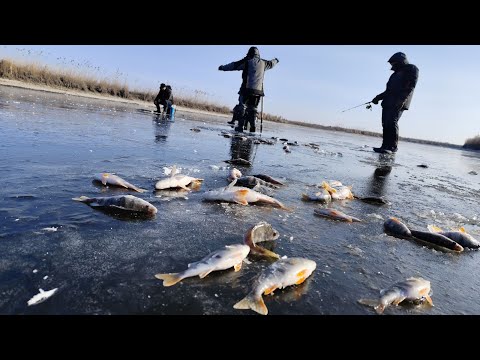 Видео: ОЦЕ Я РОЗУМІЮ ПОПАВ НА КОЗИРНУ ЛУНКУ.Зимова рибалка на балансир