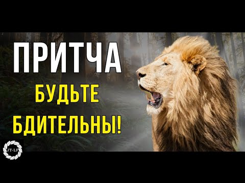 Видео: Будьте бдительны! Эта притча расскажет всё (Просто Жизнь)