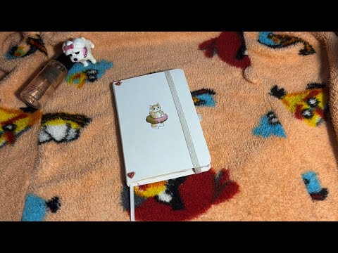 Видео: Обзор на белый личный дневник|закончен