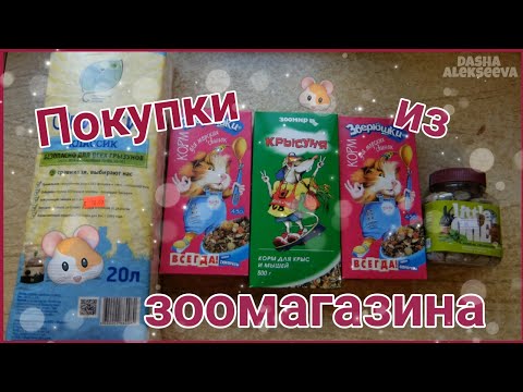 Видео: ПОКУПКИ ИЗ ЗООМАГАЗИНА | DASHA ALEKSEEVA