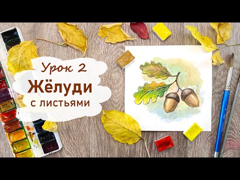 Видео: Урок 2 желуди