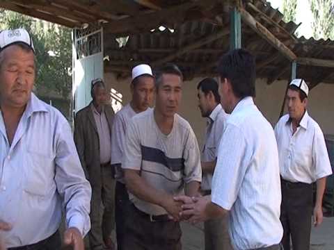 Видео: Шумкар 6