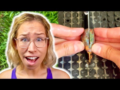 Видео: От берегов Шотландии до моей пилы: разрезание агатов, найденных зрителем