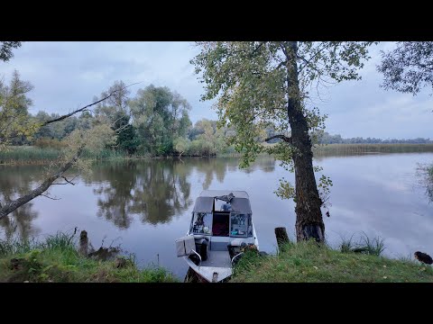 Видео: РЫБАЛКА С НОЧЕВКОЙ: Лодка, Щуки, Шашлык и Ночь в Палатке!