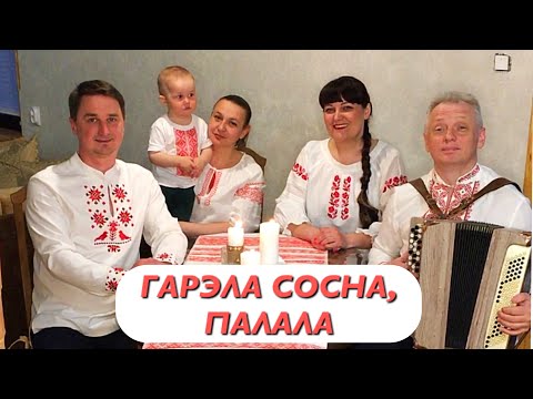 Видео: Гарэла сосна, палала.