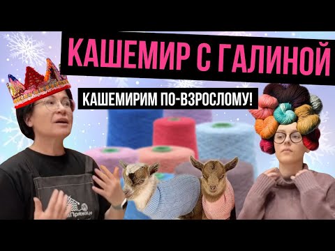 Видео: Домпряжи .рф в прямом эфире! Все о кашемире!