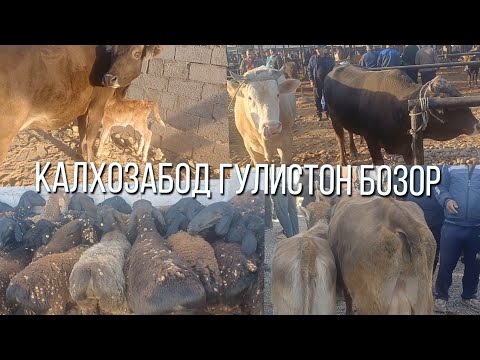 Видео: КАЛХОЗАБОД ГУЛИСТОН БОЗОР МОЛ БИСЁР АРЗОН ШИД 