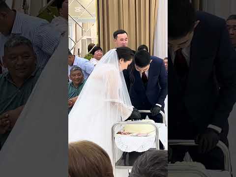 Видео: Той #той #қазақтыңтойыбітпесін #құдалық