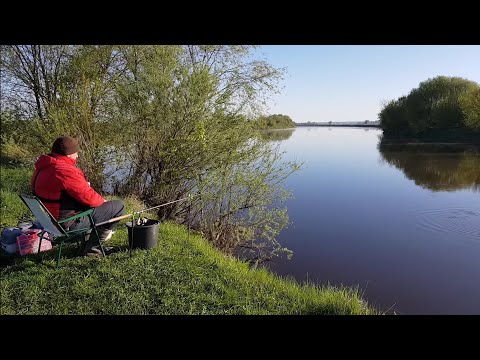 Видео: Первые Крупные Лещи на Днепре!! Красота Природы Завораживает. Рыбалка с Ночёвкой. Лещ на Фидер.