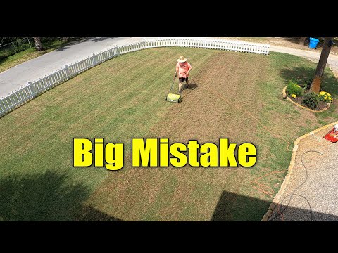 Видео: Dethatch или Verticut Bermuda или Zoysia Lawn