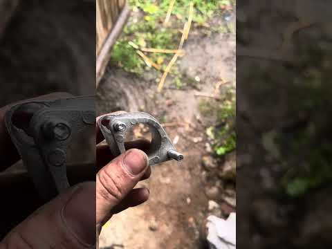 Видео: 1 ноября 2025 г.