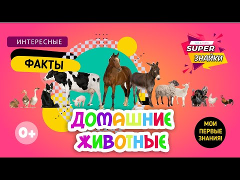 Видео: Домашние животные для детей /Питомцы/ Ферма/ Развивающие мультики для детей/ Интересные факты/